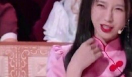 潭湘佳谈沈梦辰爆料视频,沈梦辰揭秘潭湘佳谈幕后故事